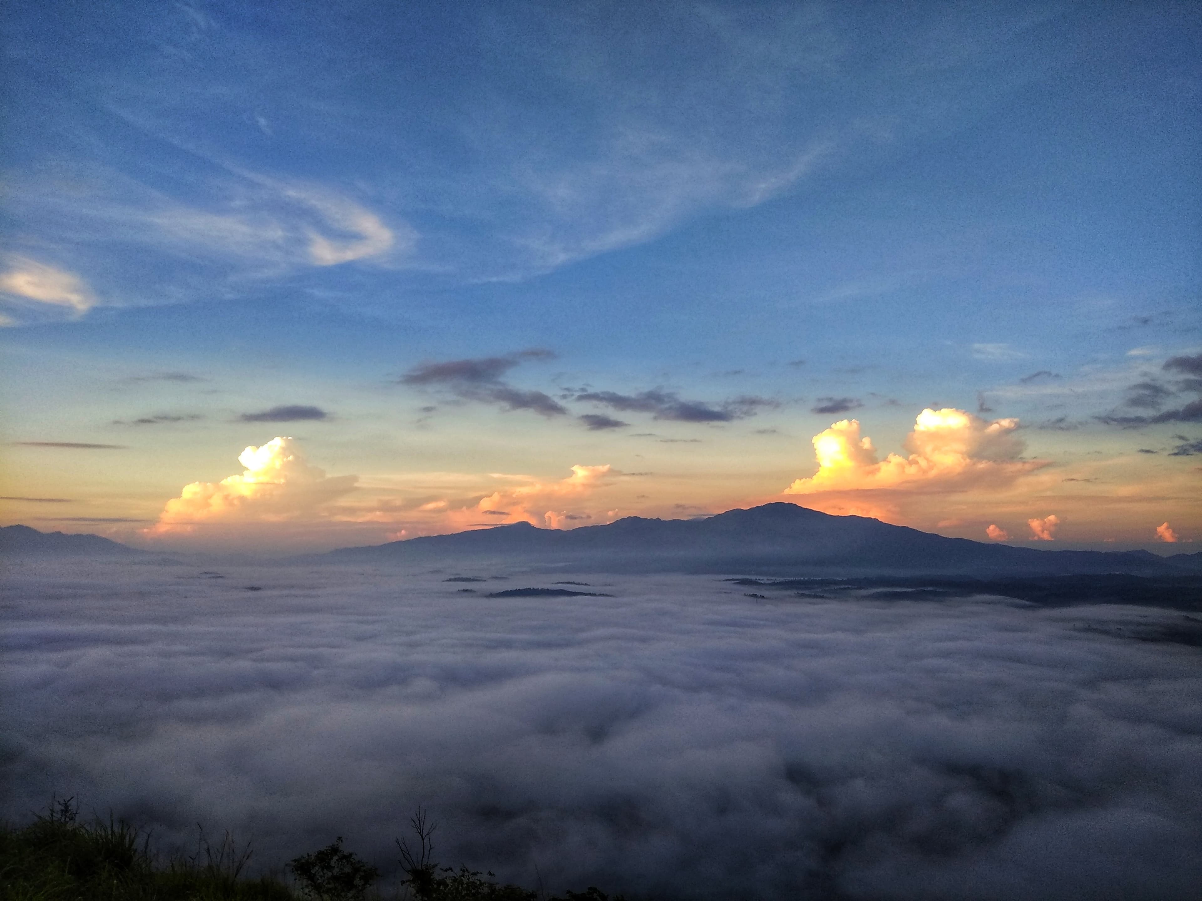Travel Tips for Visiting Wayanad