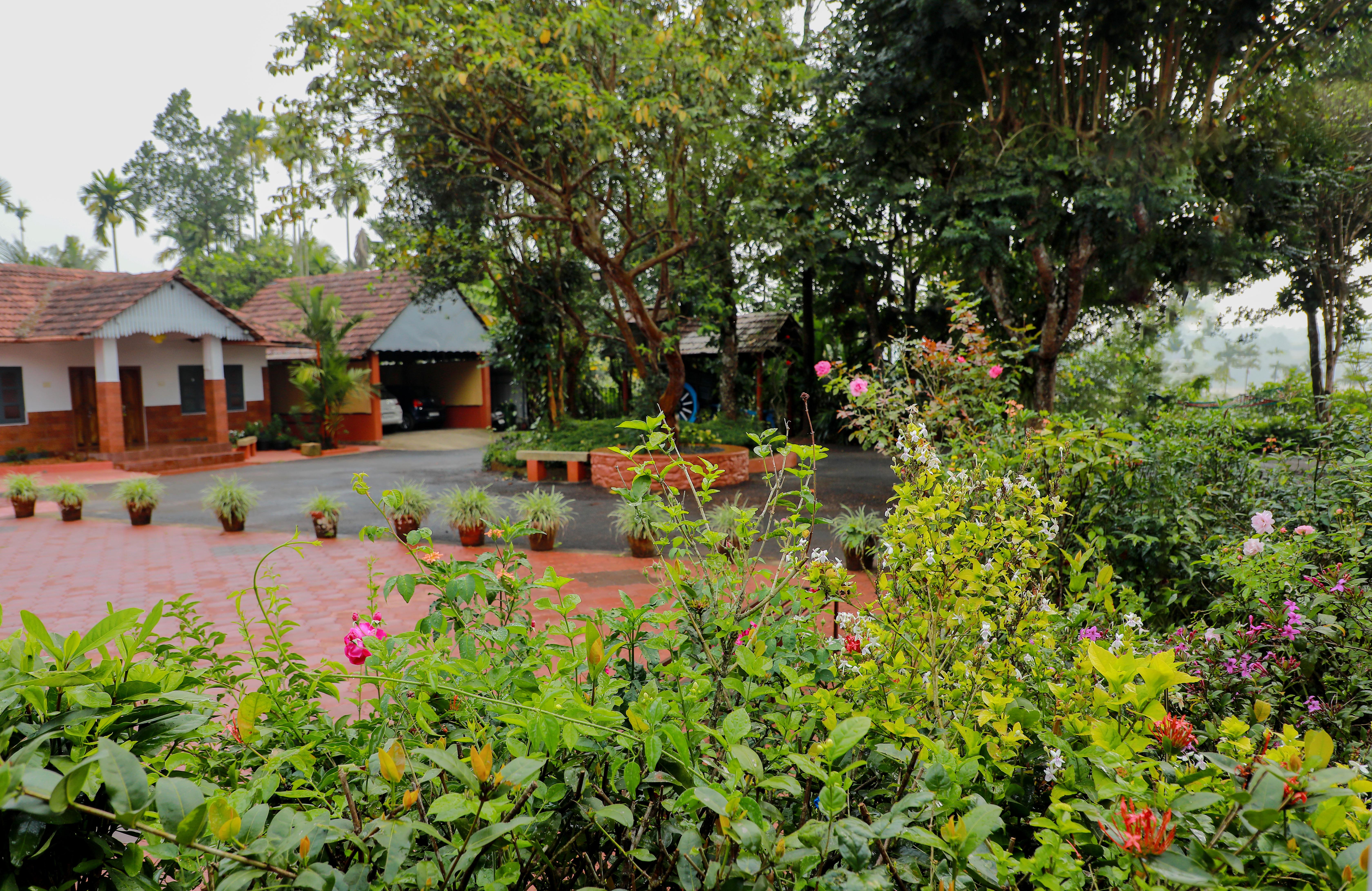 Wayanad homestay gallery image 7