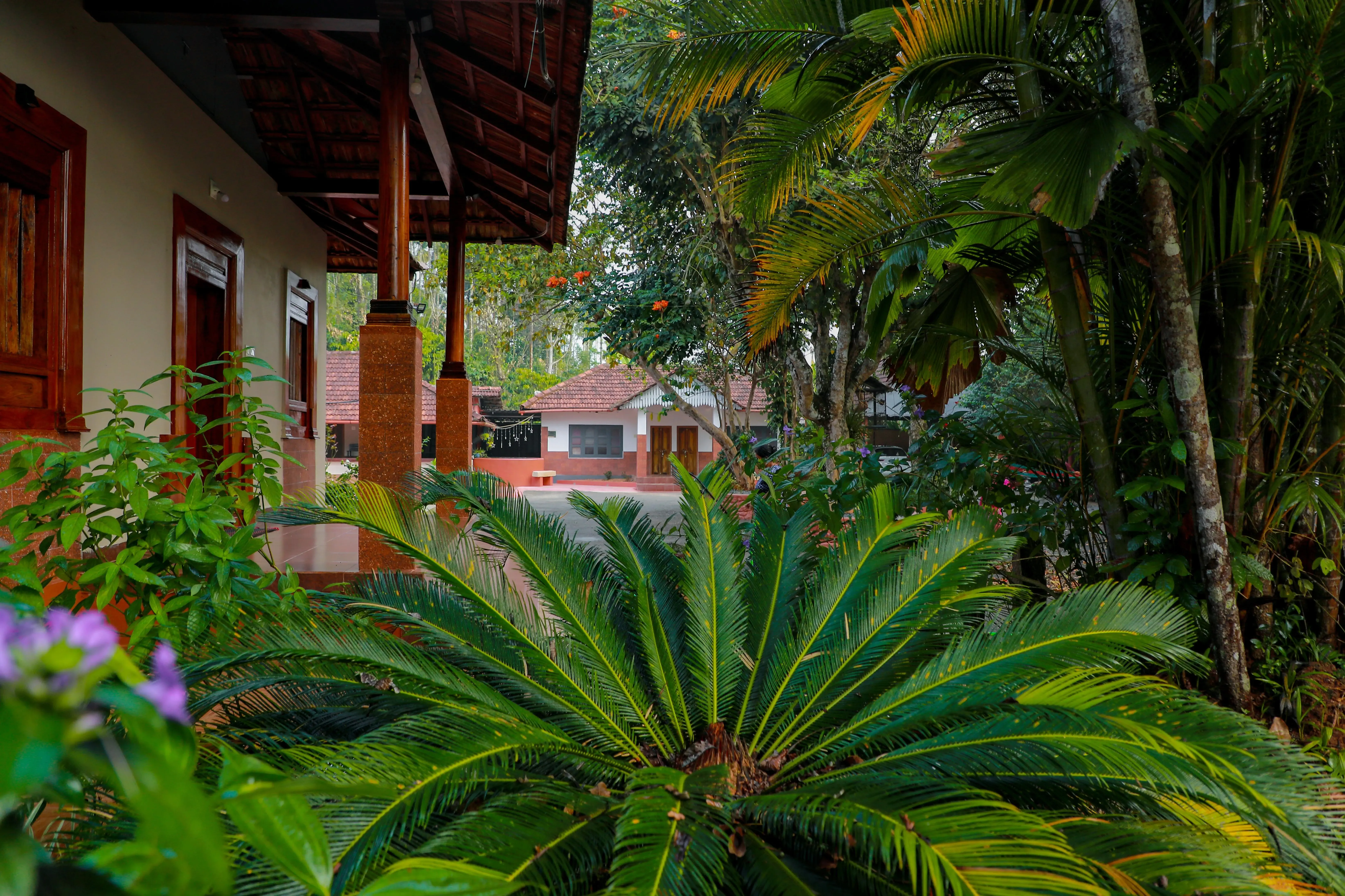 Peaceful homestay atmosphere